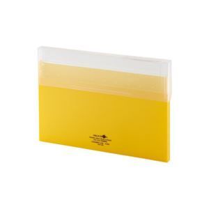 (業務用100セット) LIHITLAB コングレスケース薄型 A-5035-1 乳白 業務用100セット) LIHITLAB コングレスケース薄型 A-5035-3 赤 業務用