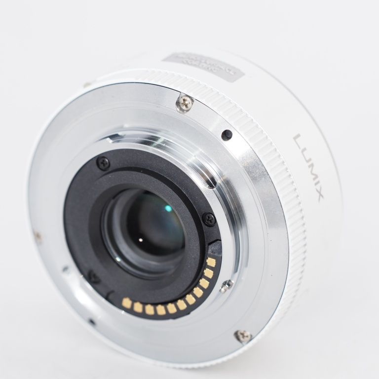 Panasonic LUMIX G X VARIO PZ 14-42mm F3.5-5.6 ASPH. POWER O.I.S. H
