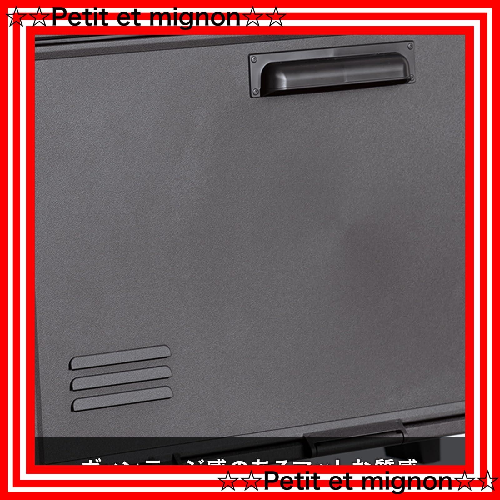 フィッツペグキャビネット ワイド 差し込むだけで組み立てられるワイド扉の収納ボックス レトロ かわいい 収納ケース ペグボード 天馬 ヴィンテージ 工具不要の簡単組立 グリーン サイズ 幅59.5×奥行35.5×高さ42.5cm NEXPOTALLINN_EU