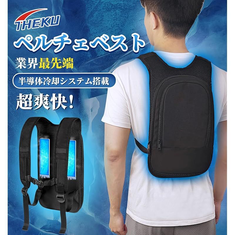 ペルチェ素子式
