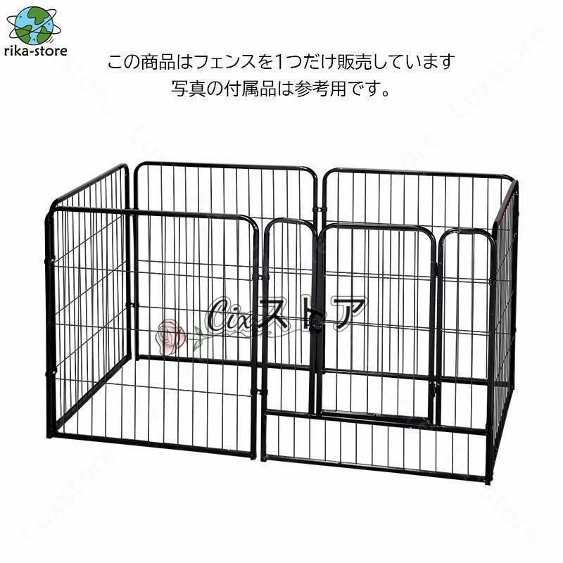 仔猫 ラダー付き