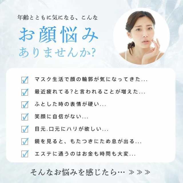 振動 磁石式