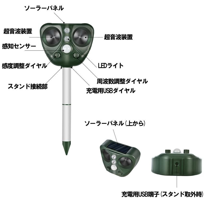 畑 農作