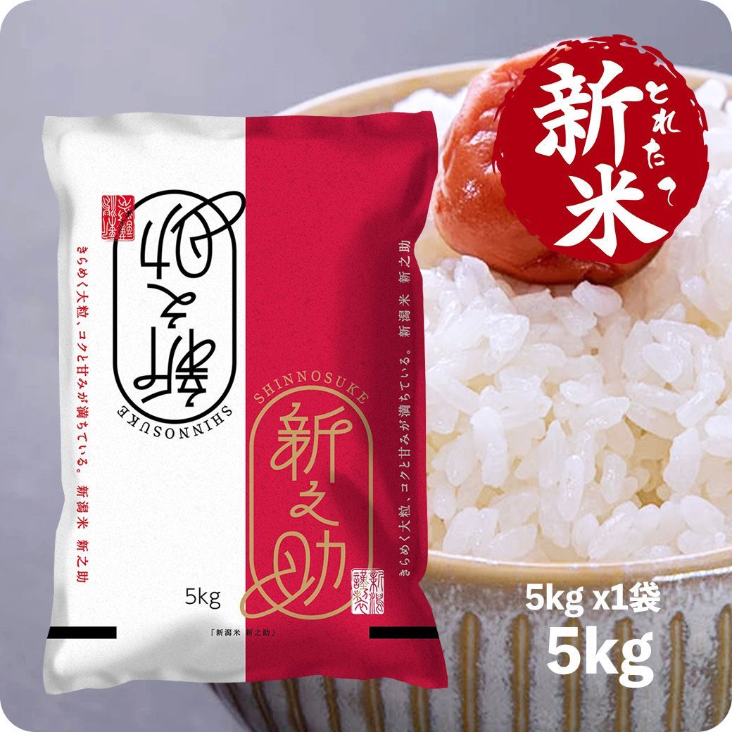 新米 新之助5kg お米 令和6年産 白米