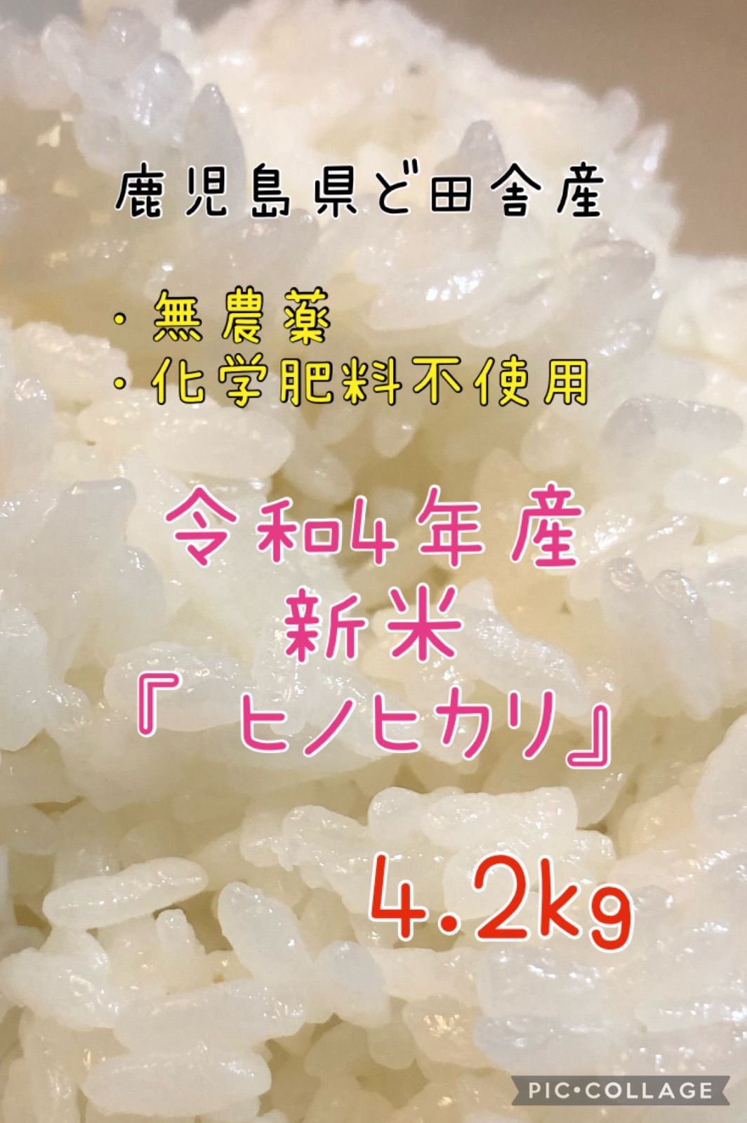 飼料米 くず米 令和５年度 兵庫県産 ヒノヒカリ - 鳥用品