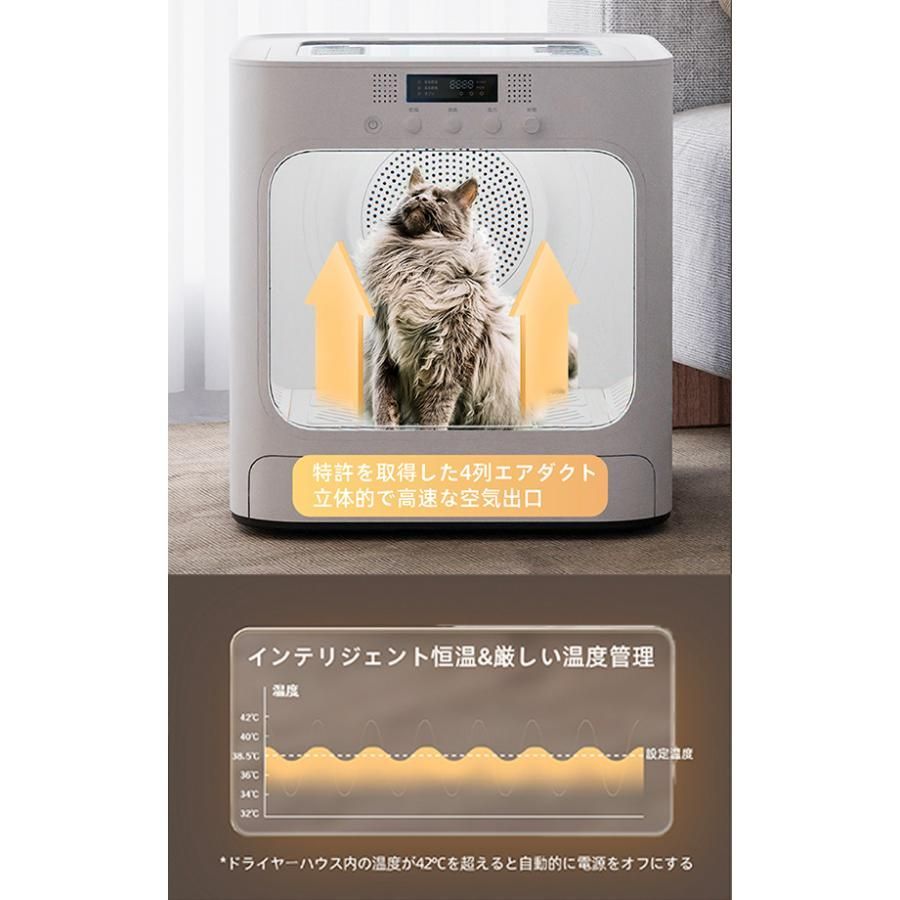 ドライ