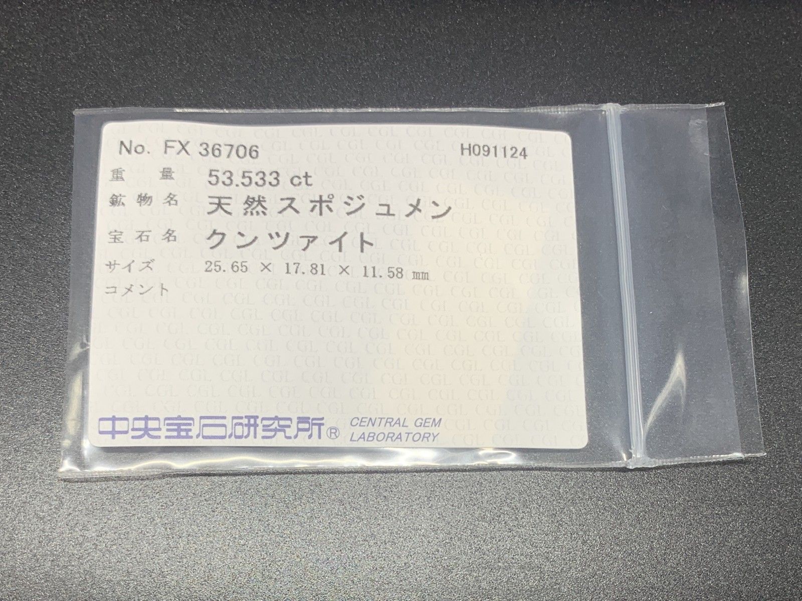 53.533ct 宝石ソーティング付き