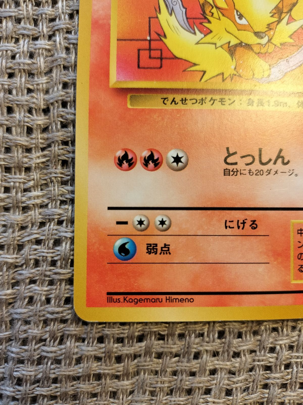 NO048_ウィンディ(イントロパック)_ポケモンカード_旧裏 - メルカリ