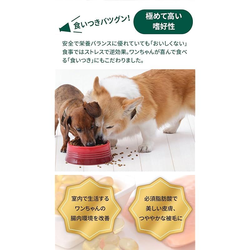 ソルビダ　グレインフリー　チキン　室内飼育体重管理用　3.6kg ソルビダ グレインフリー チキン 室内飼育体重管理用 3.6kg