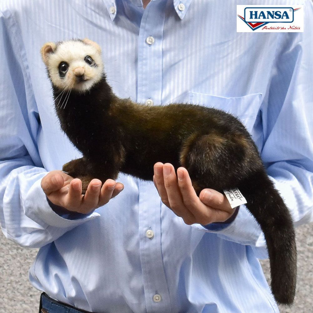 HANSA 7827 ヨーロッパケナガイタチ41 全長：41cm EUROPEAN POLECAT BH7827 フェレットのご先祖様 ぬいぐるみ ハンサ 動物 犬 猫 鳥 うさぎ ペンギン アニマル 置物 人形 フィギュア 大きい 実物大 大型