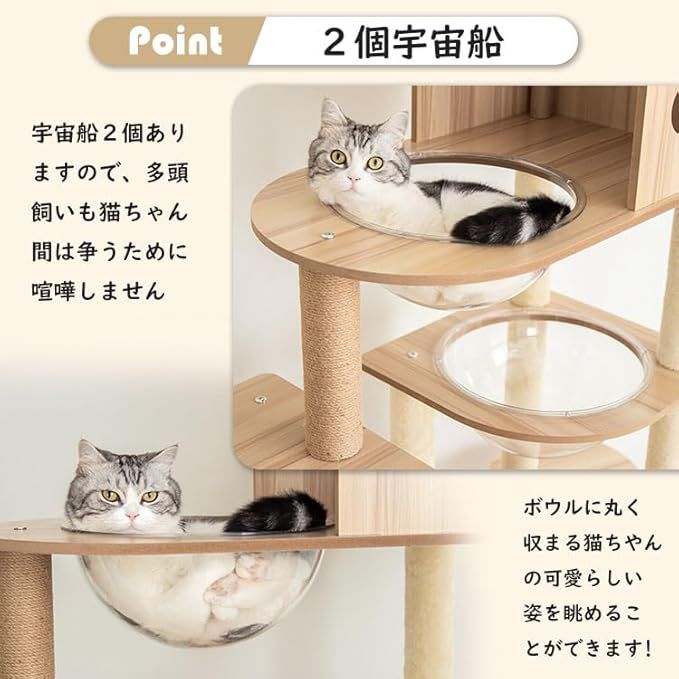 安定 ねこ