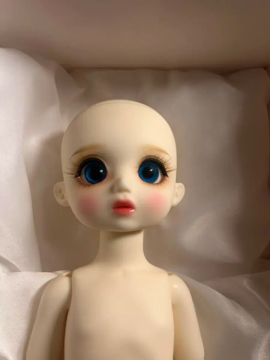  エレコドール 球形ジョイントドール スクールドール 本体 その他 ベビー キッズおもちゃ