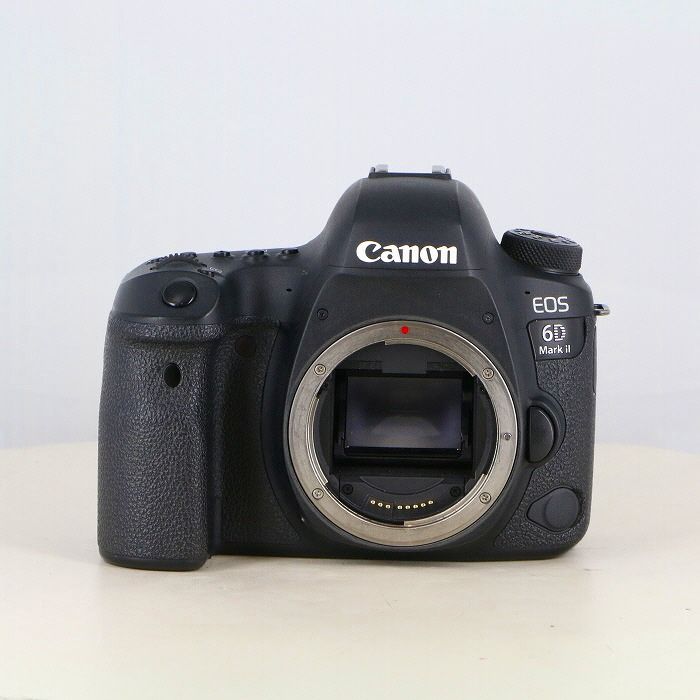 ✨すぐ使える✨Nikon D5100 ダブルレンズ 自撮り 初心者 望遠 ✨すぐ使える✨Nikon D5100 ダブルレンズ 自撮り 初心者 望遠 ☆軽量