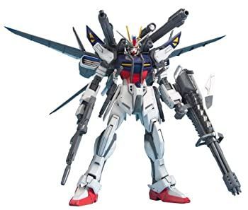 非常に良い】MG 1/100 GAT-X105E ルカス・オドネル専用 ストライクE +