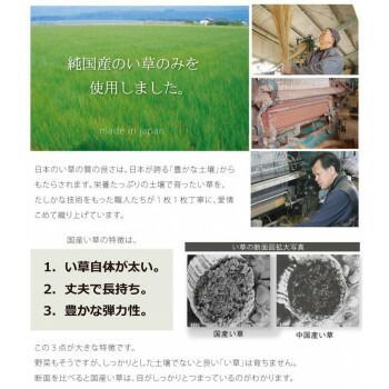 純国産 い草ラグカーペット