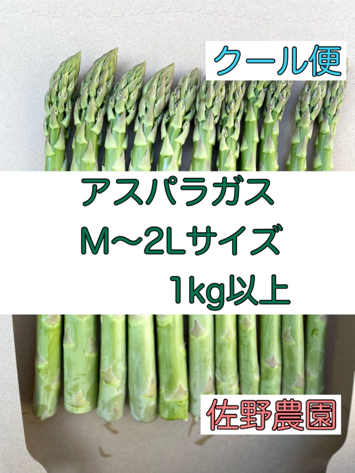アスパラガス　極太　1kg クール便 商品詳細ページ / 根元までやわらか極太“奇跡”のアスパラ 1kg