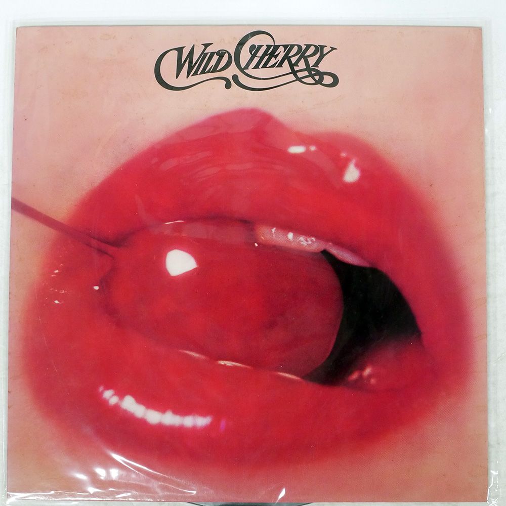 新品 KM Ftheworld LPレコード WENOD RECORDS : KM - Ftheworld [LP] Mary Joy Recordings