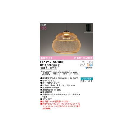 【新品・7営業日以内発送】オーデリック ODELIC OP252737BCR ランプ別梱包【沖縄離島販売不可】
