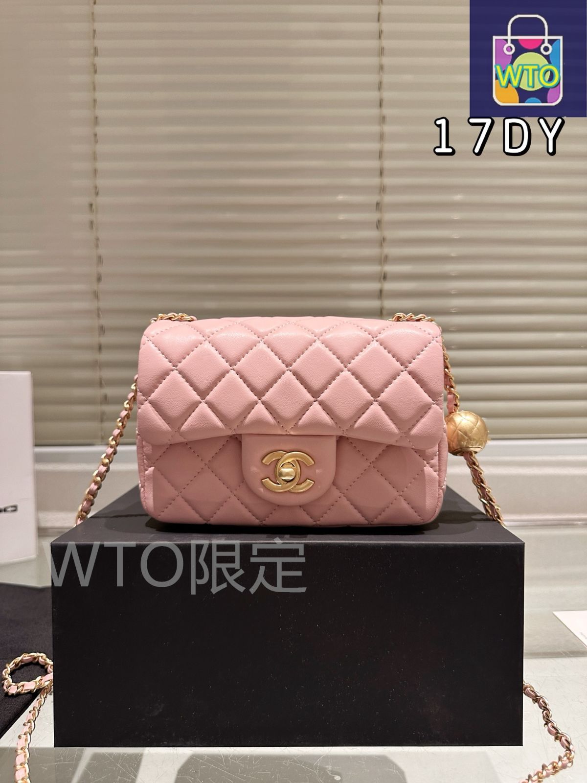 CHANEL  小サイズ　2024限定ギフト袋　100点セット imgrc0122139168.jpg