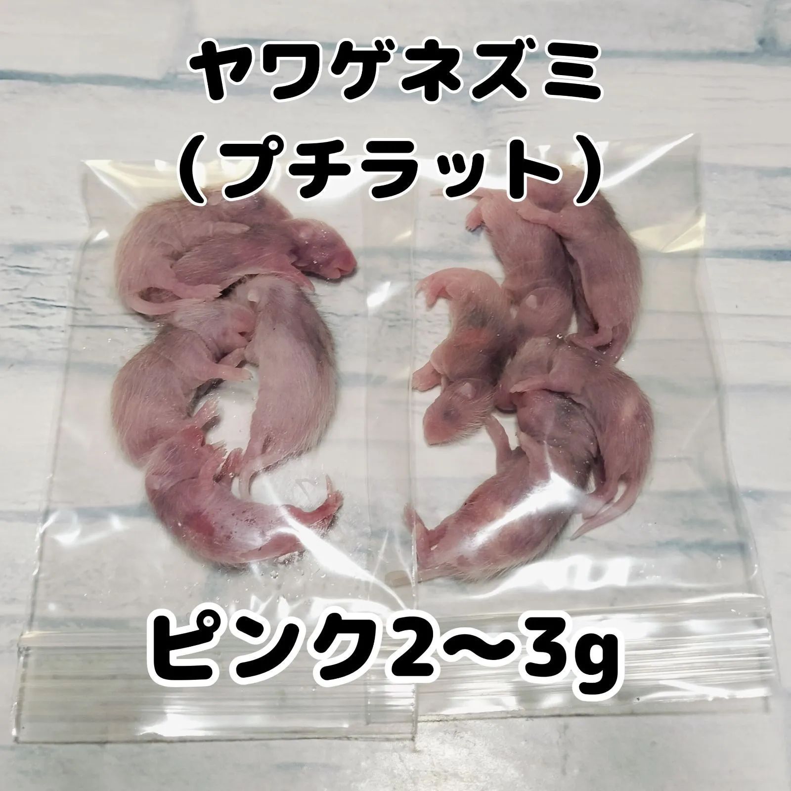 爬虫類のエサ 冷凍ヤワゲネズミ ピンク 2〜3g 10匹 - メルカリ