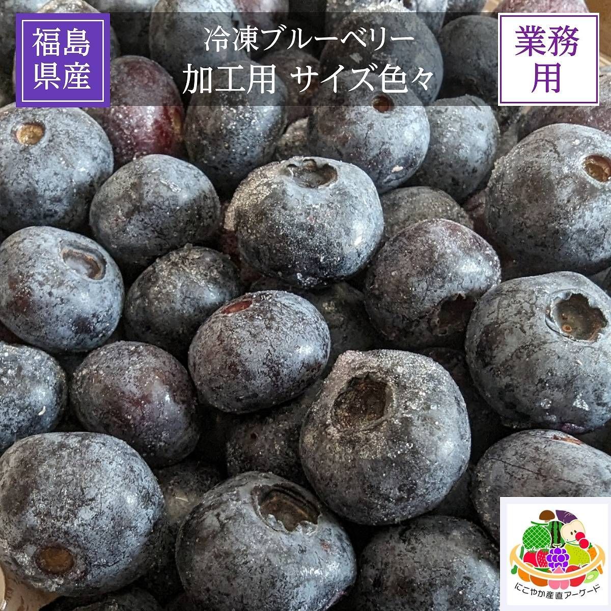 冷凍ブルーベリー 【加工用】7kg 冷凍ブルーベリー