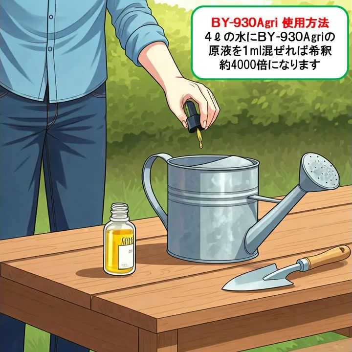 土壌改良 水耕栽培