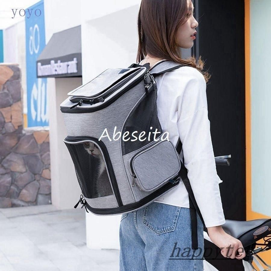 キャリーバッグ 少し大きい