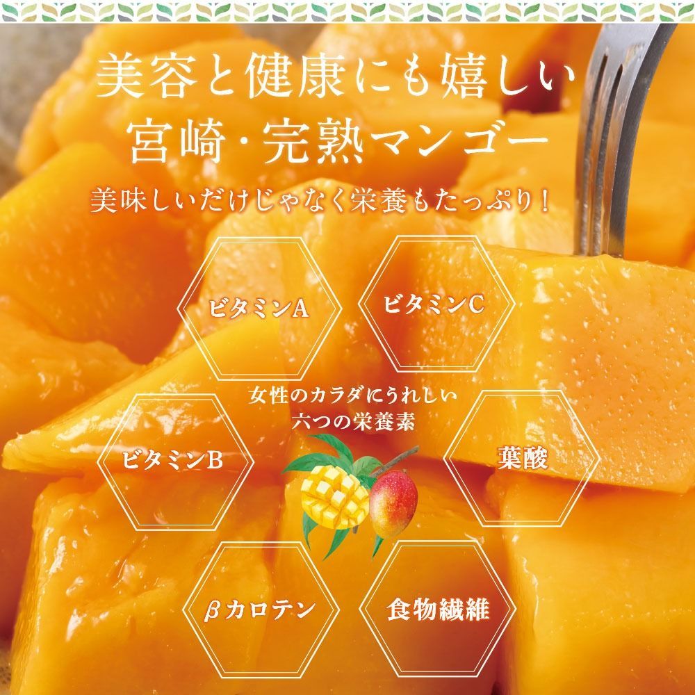 フルーツ 果物