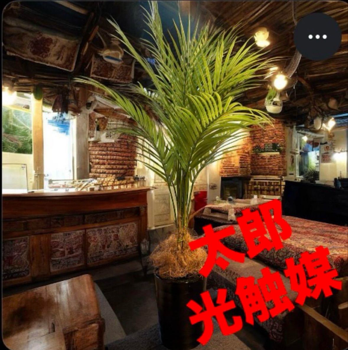 光触媒 人工観葉植物 ウォールグリーン フェイクグリーン