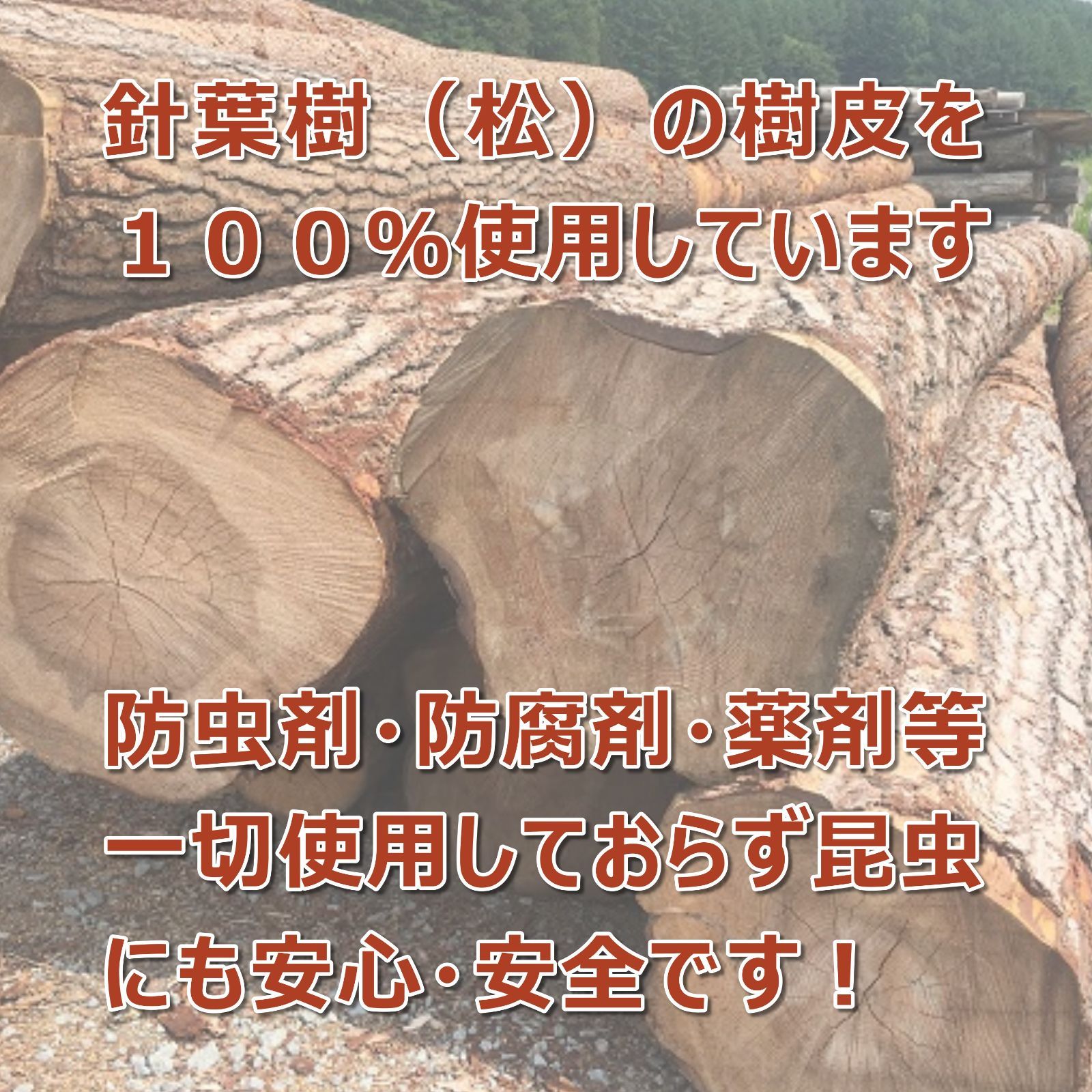 のサムネイル