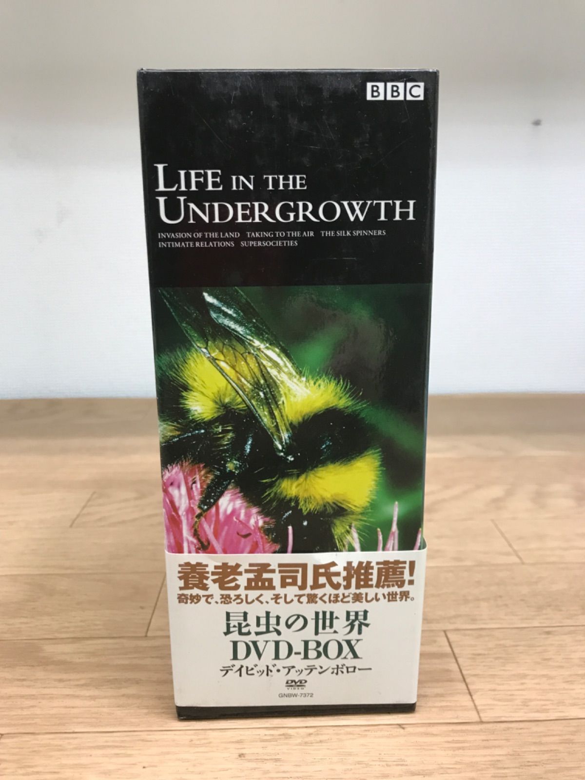 昆虫の世界 DVD-BOX