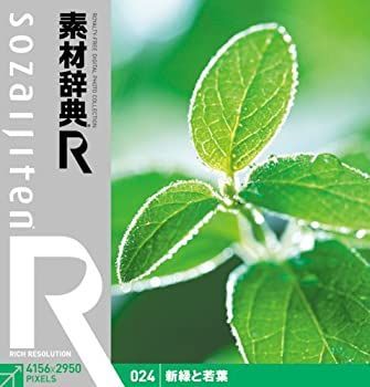  素材辞典 R アール 024 新緑と若葉