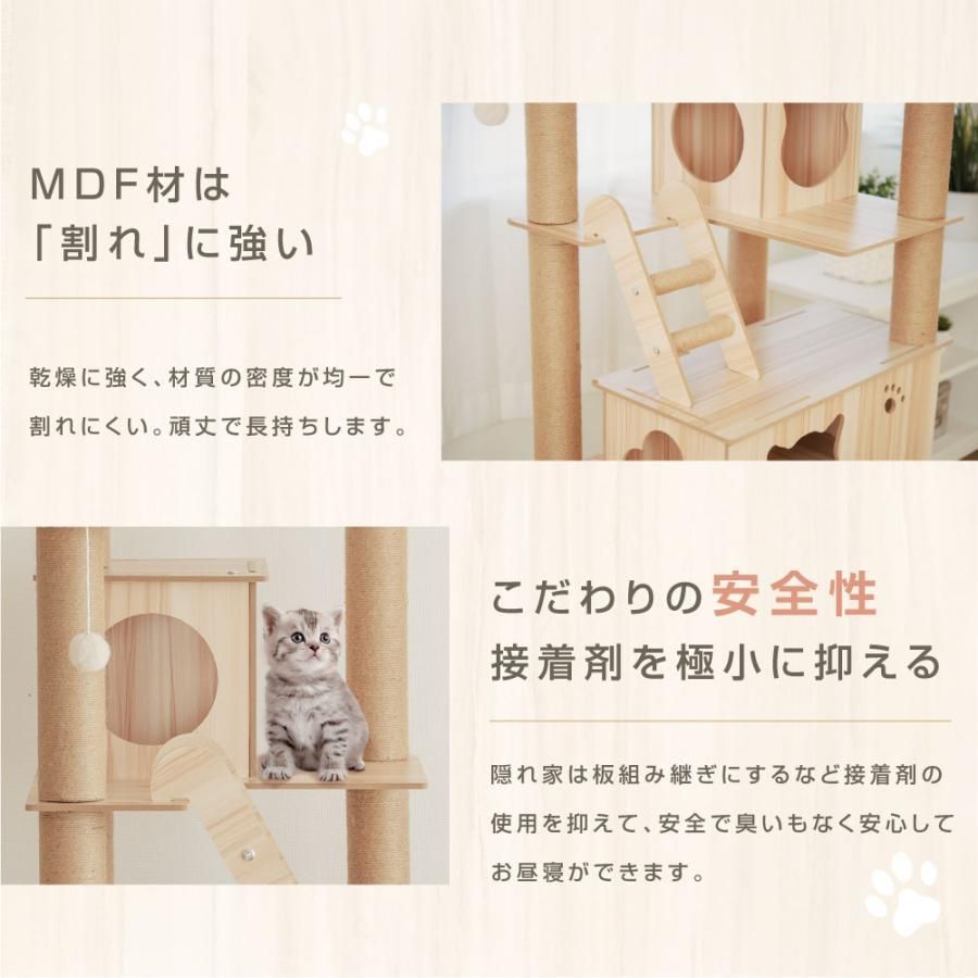 多頭飼い 爪とぎ