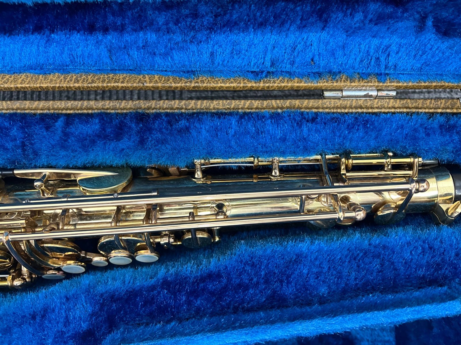YTS-31