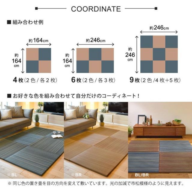 同色９枚セット