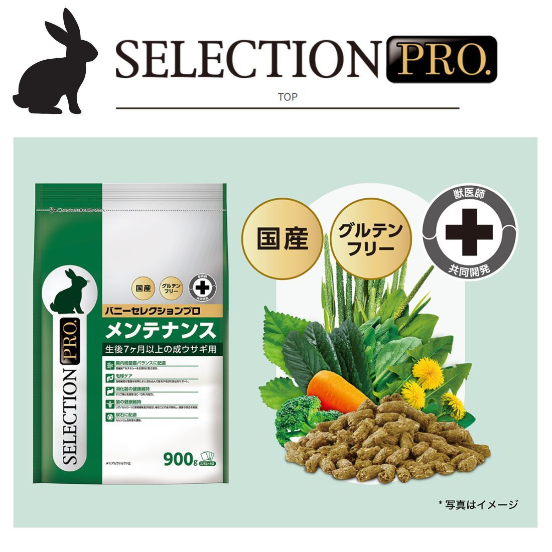 〇リニューアル品〇🐇バニーセレクションプロ メンテナンス 2.25