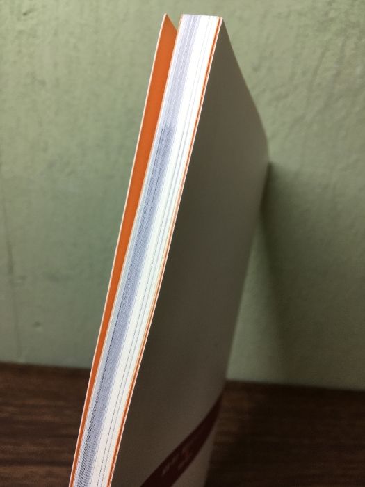 内功八段錦 気功太極拳入門 新渡戸道子 内功八段錦 気功太極