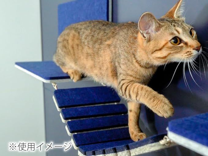 キャットウォーク 猫壁