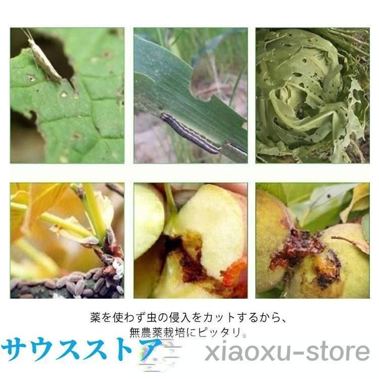 1mm目 野菜栽培