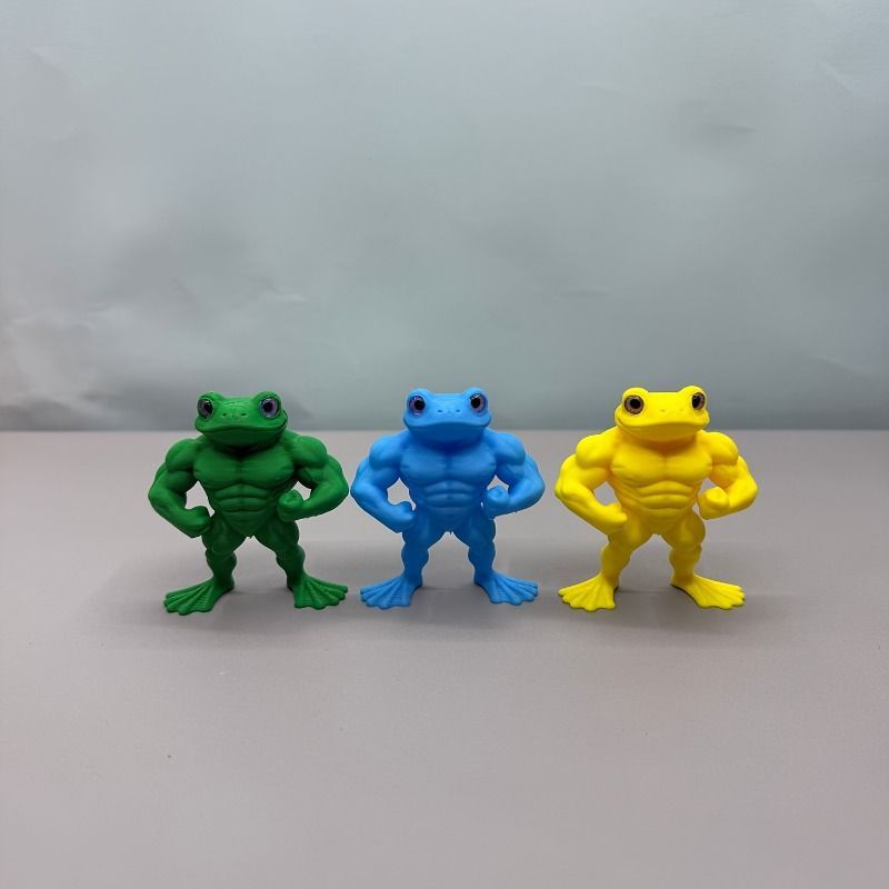 カエルの筋肉フィギュア 3個セット 動物 生物 立体図鑑 フロッグボックス / カロラータ オンラインショップ