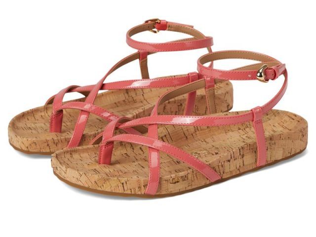 遠藤ミチロウ DVD 2本セット 未開封品