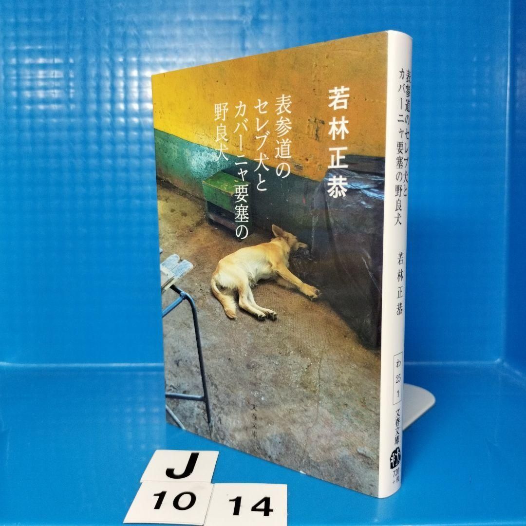 期間限定の激安セール 表参道のセレブ犬とカバーニャ要塞の野良犬 若林正恭