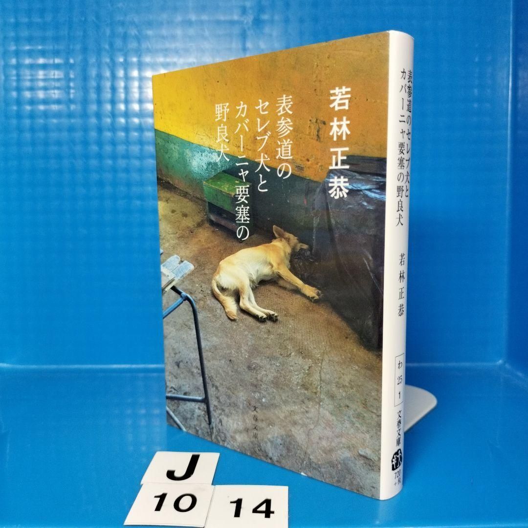 表参道のセレブ犬とカバーニャ要塞の野良犬 若林正恭