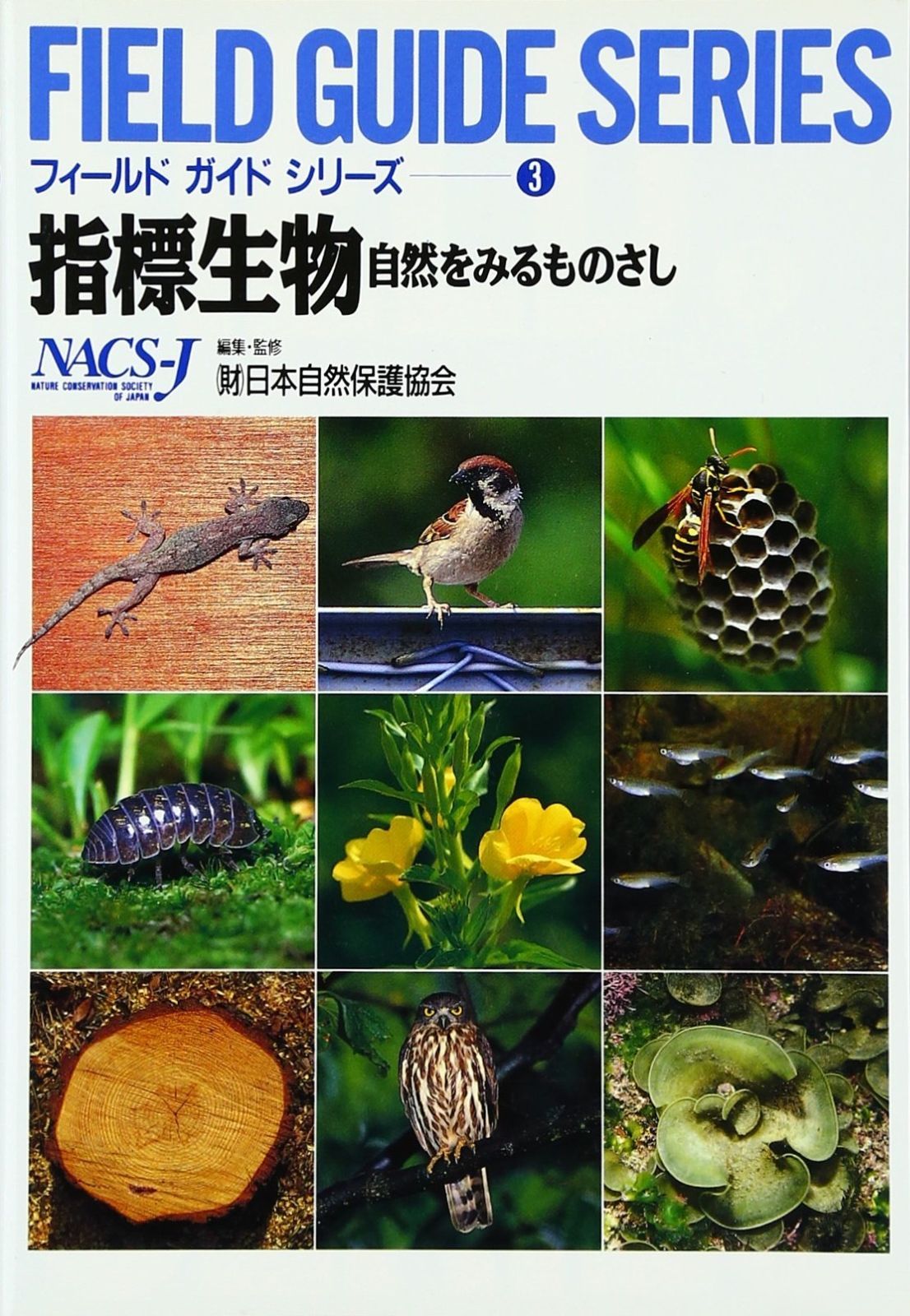 初代ガールズ競輪、練習用ユニフォーム(夏用冬用セット) 初代ガールズ