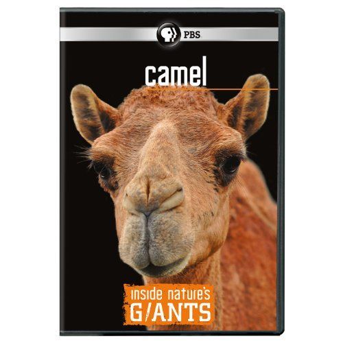 【】Inside Natures Giants: Camel [DVD]