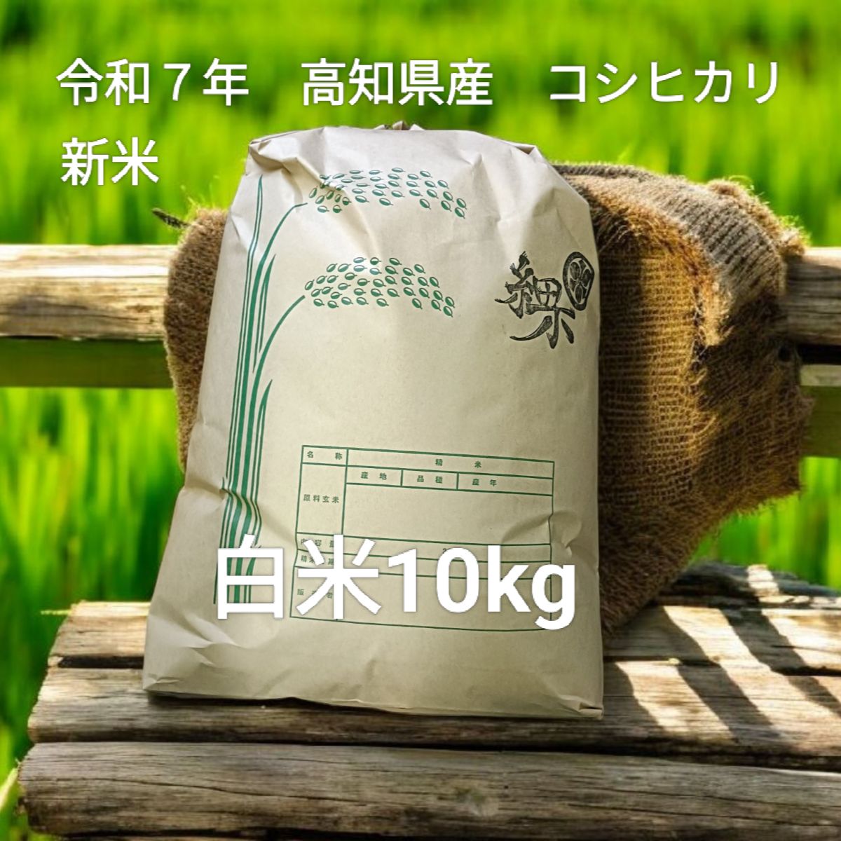 新米 令和７年 高知県産 コシヒカリ 白米10kg