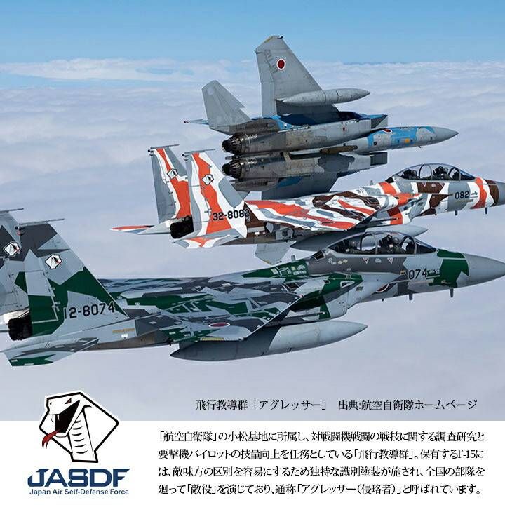 防衛省 自衛隊 グッズ アグレッサー ワッペン パッチ 刺繍
