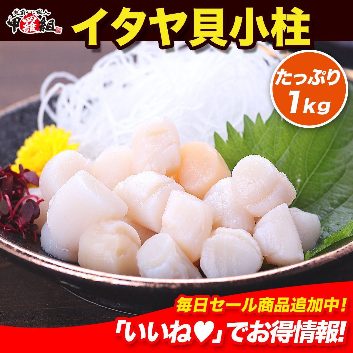 イタヤ貝小柱(ボイル済み) 1kg (解凍後800g/約200-300粒入) バラ凍結 貝柱 【甲羅組】