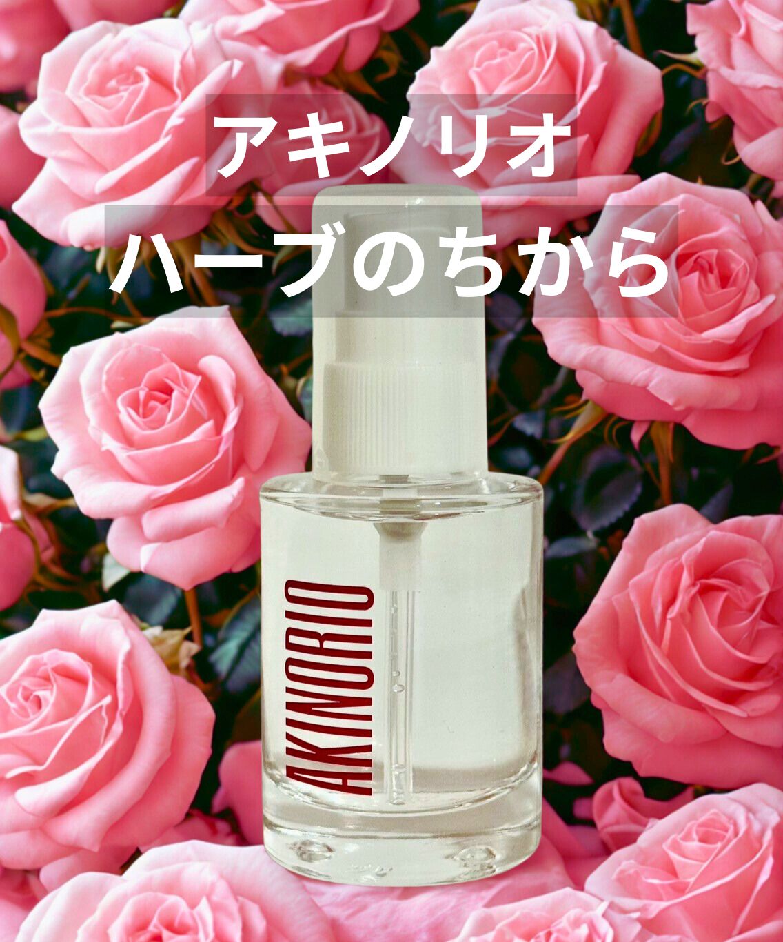 AKINORIO ハーブのちから◇アキノリオ◇正規代理店 - メルカリ