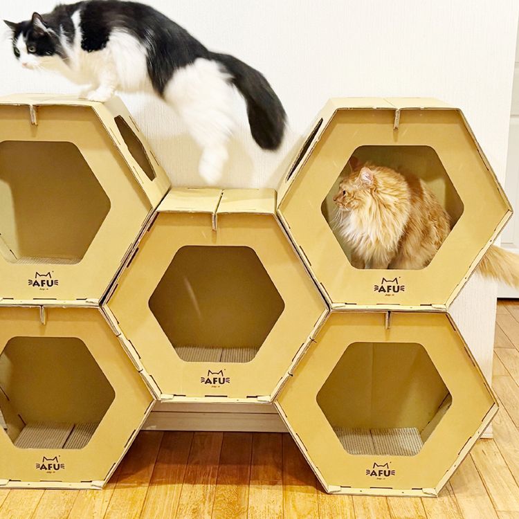 猫用ハウス